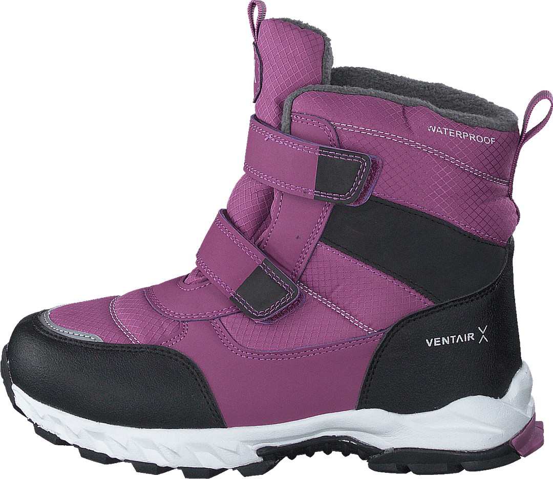 Nuuk Purple