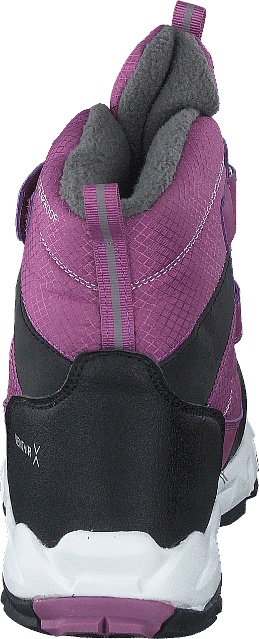 Nuuk Purple