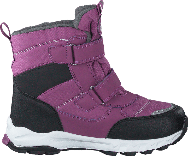 Nuuk Purple