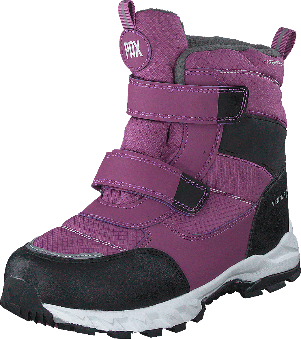 Nuuk Purple