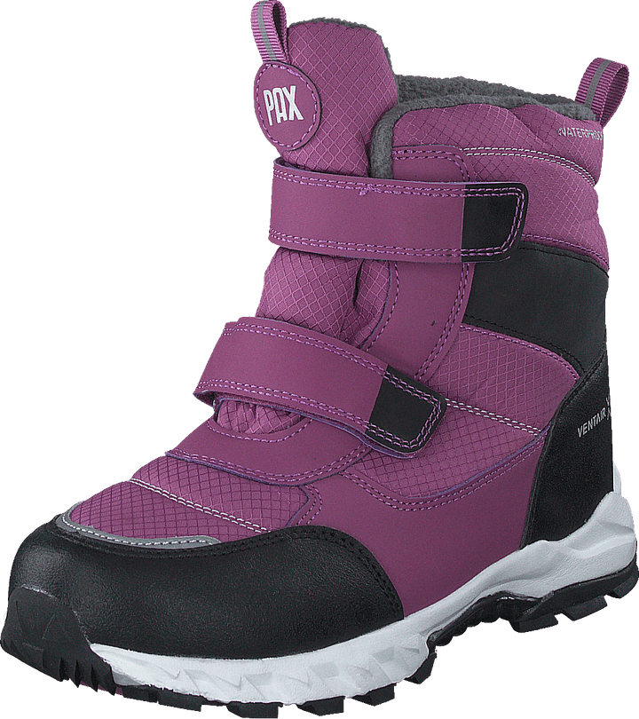 Nuuk Purple