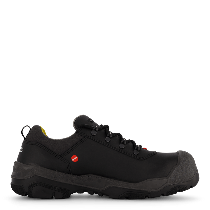 1538 Terra Black