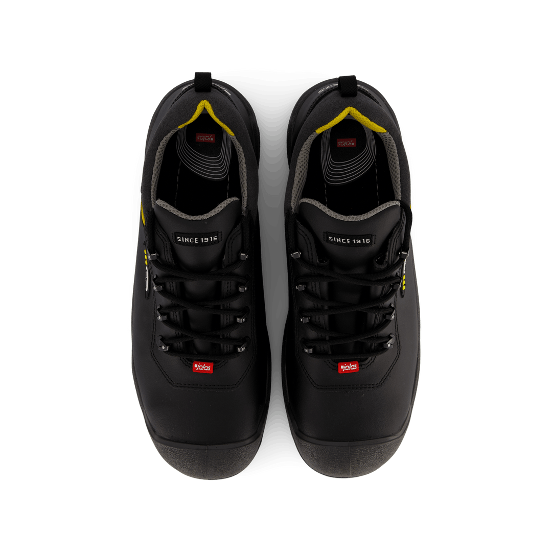 1538 Terra Black