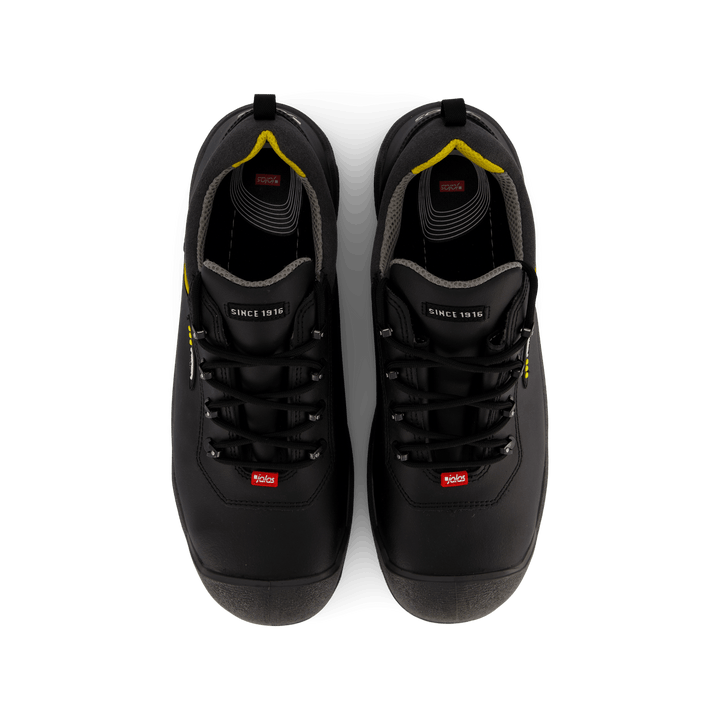 1538 Terra Black