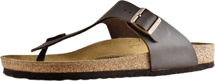 Ramses (normal) Brown