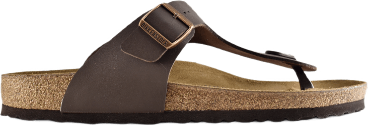 Ramses (normal) Brown