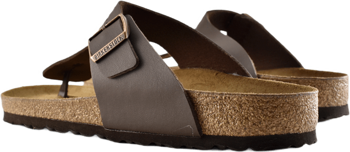 Ramses (normal) Brown