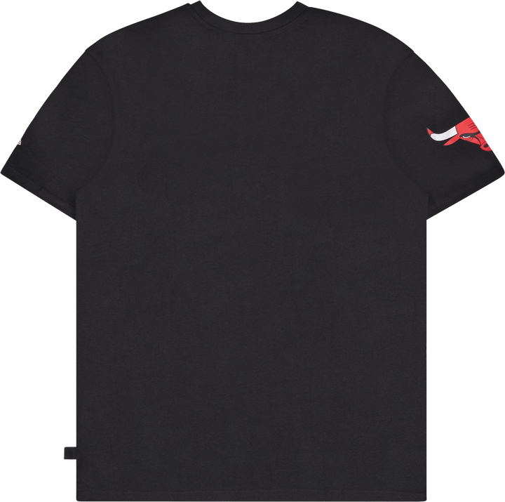 Bulls Washed Pack Wordmark Os