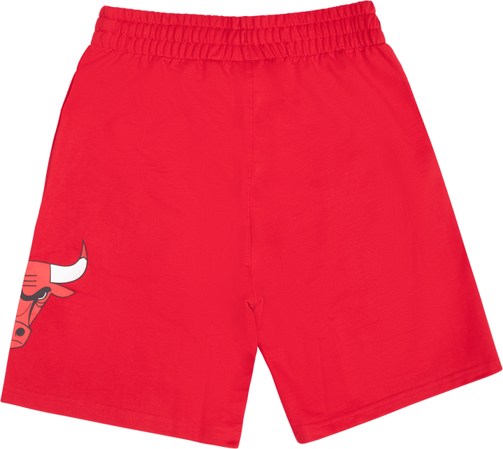 Pacchetto Bulls lavato Logo Squadra Rosso