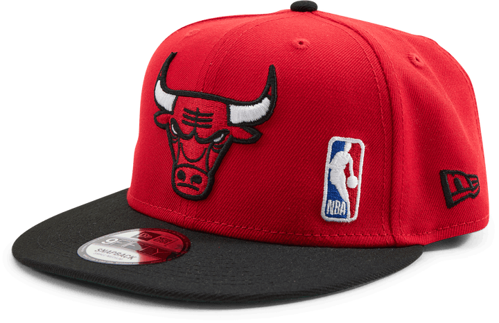 Bulls Team Arch 9FIFTY