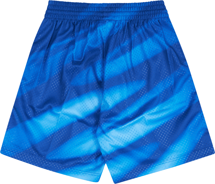 Nets Swingman Shorts 90
