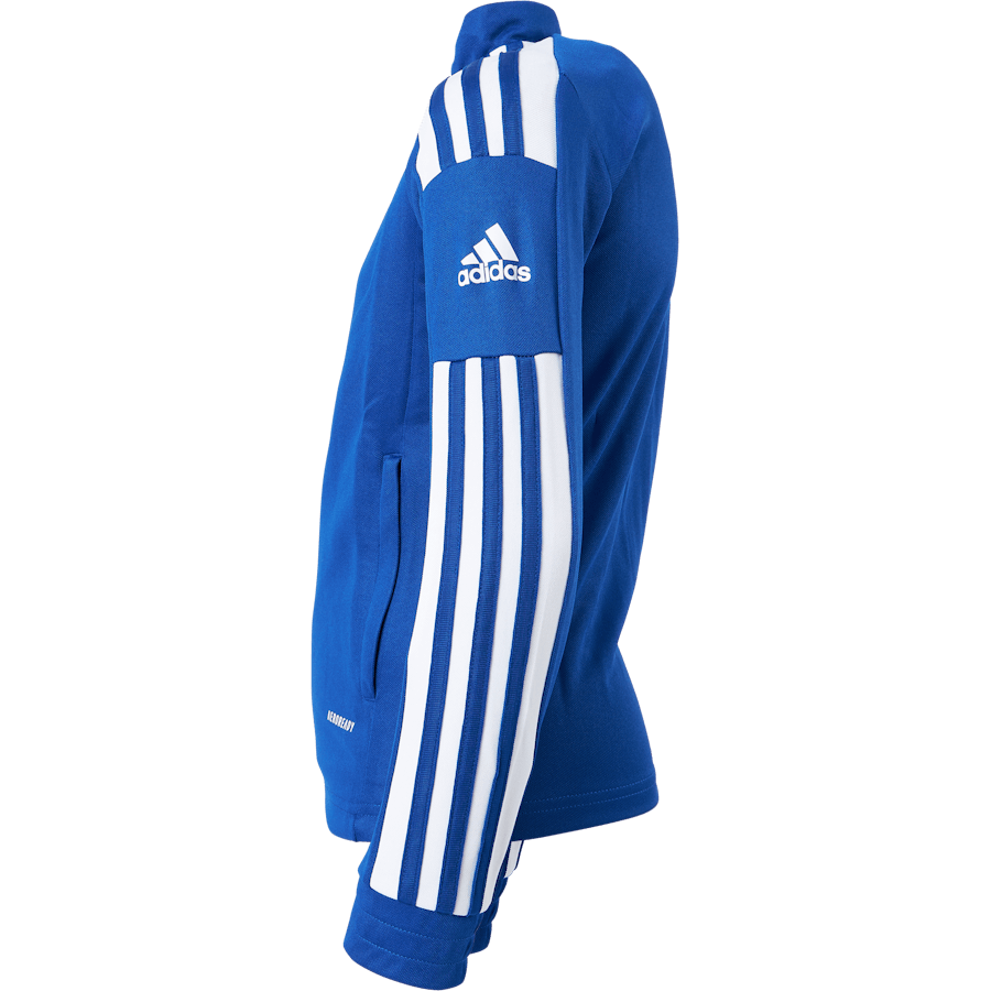 Sq21 Tr Jkt Y Royblu/white