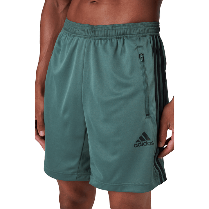 M 3s Sho Greoxi/negro