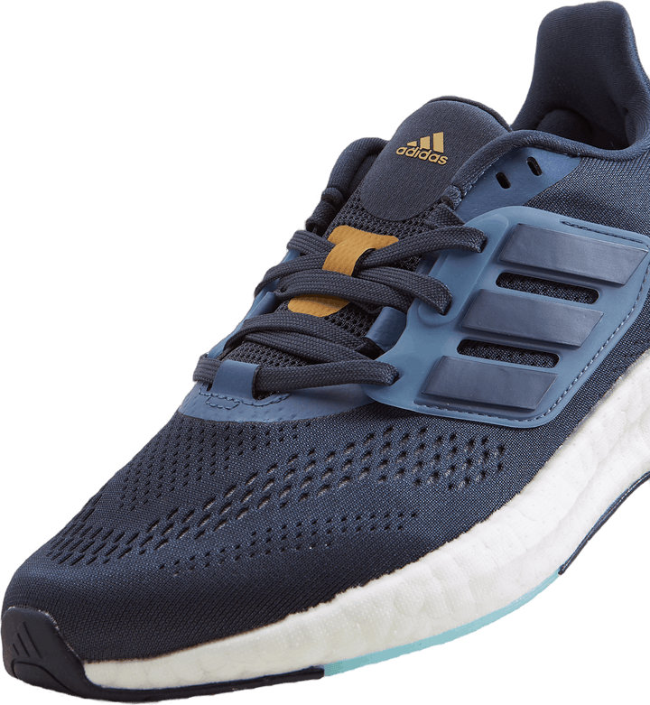 Pureboost 22 Shoes Shanav / Wonste / Magmau
