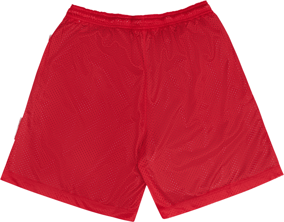 Dri-FIT Standard Issue 6in Short
