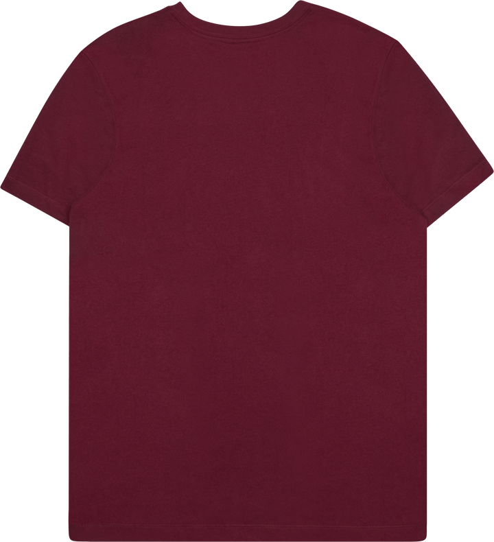 Giannis Dri-FIT Tee