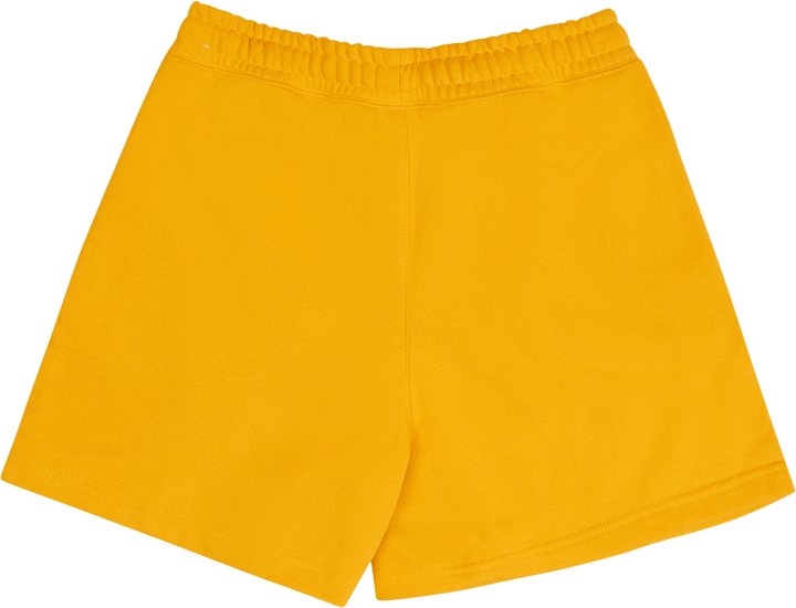 Jordan Flight Fleece Shorts för kvinnor