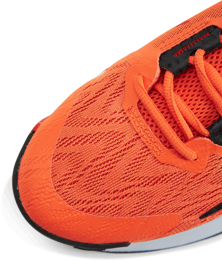 Nike Giannis Immortality 2