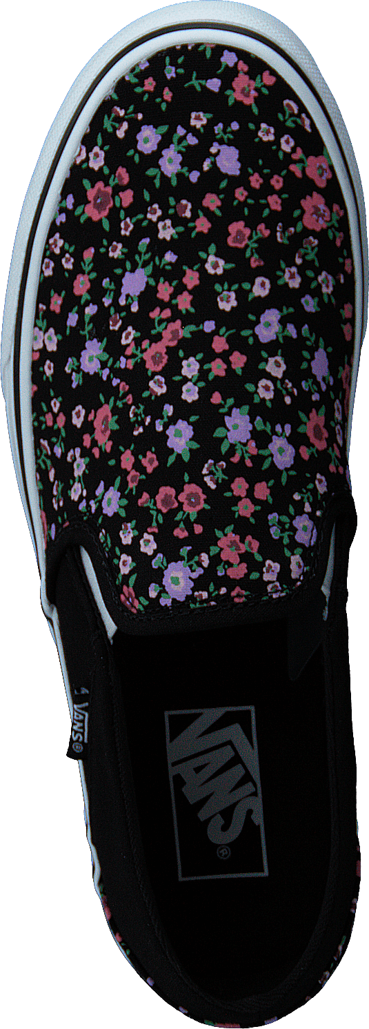 Wm Asher Ditsy Floral Black/white