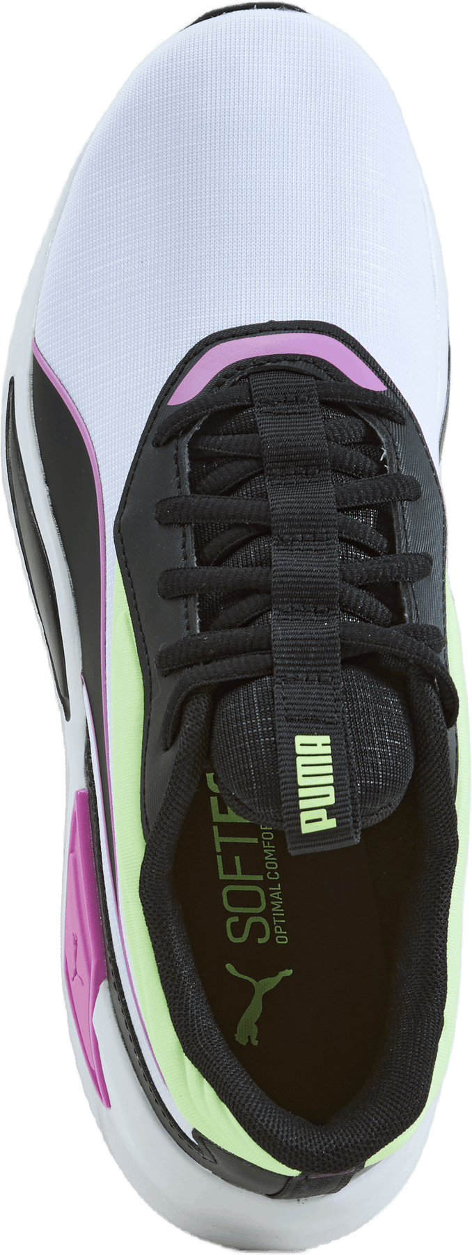 Lex Wn's Puma White-electric Orchid
