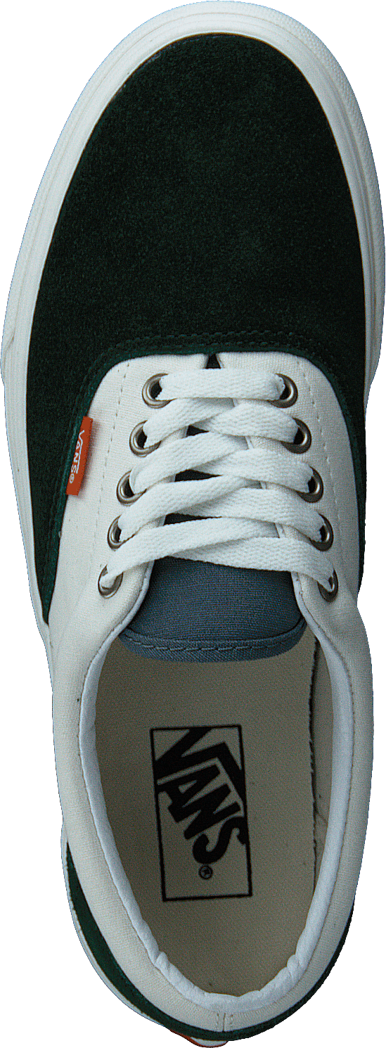 Ua Era Varsity Canvas Green/blue