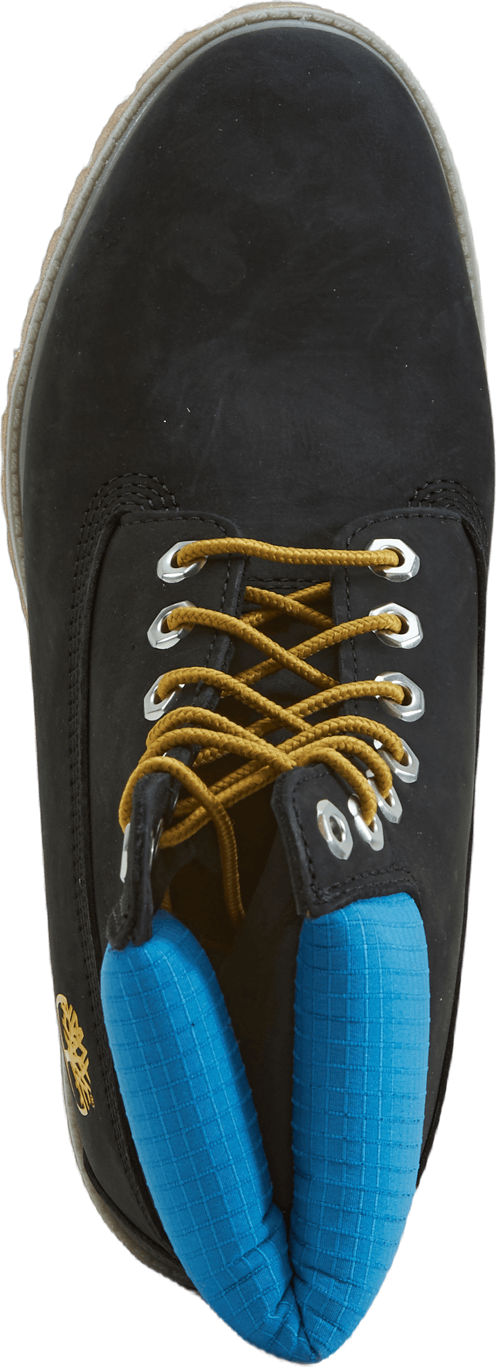 6" Prem Bt Wp Blk/blu Black