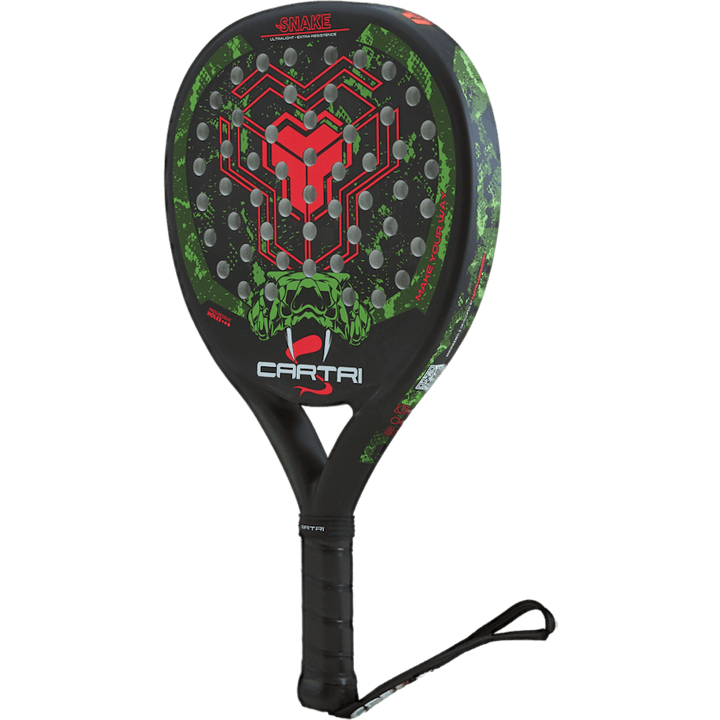 Snake Black/green/red