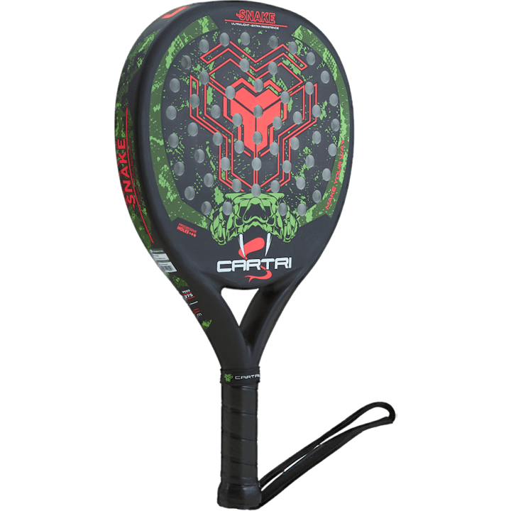 Snake Black/green/red