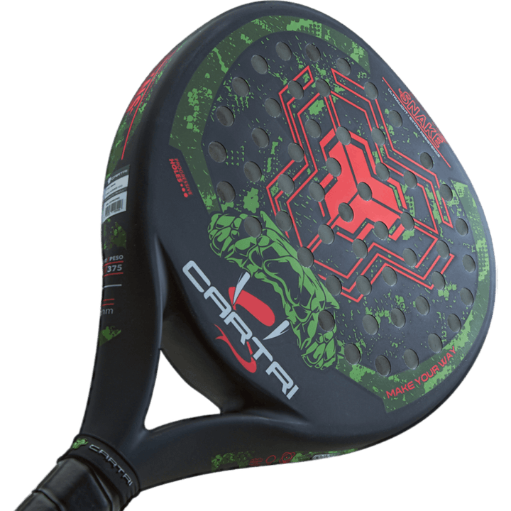 Snake Black/green/red