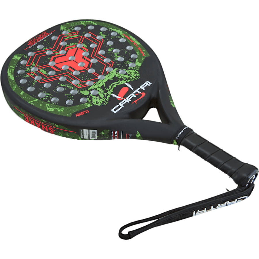 Snake Black/green/red