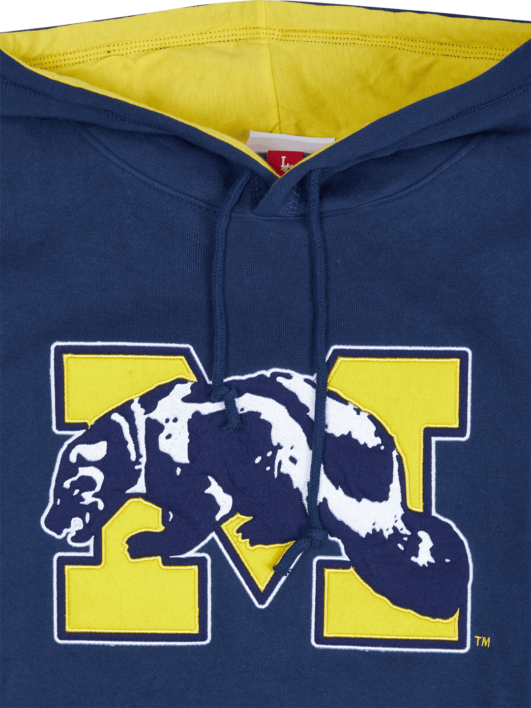 Michigan Team Origins Fleece Hoodie