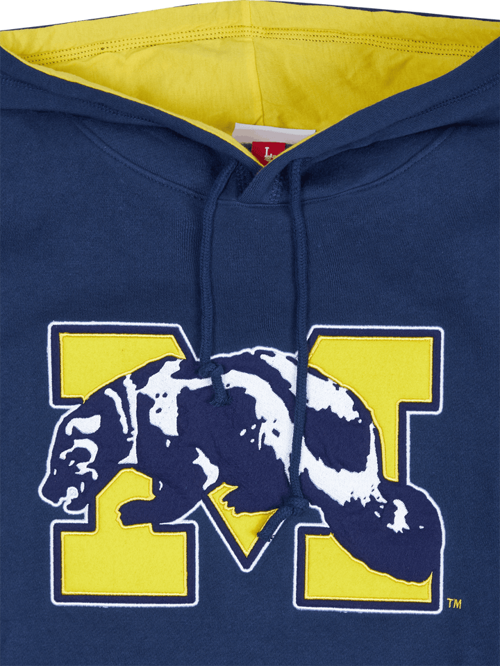 Michigan Team Origins Fleece Hoodie