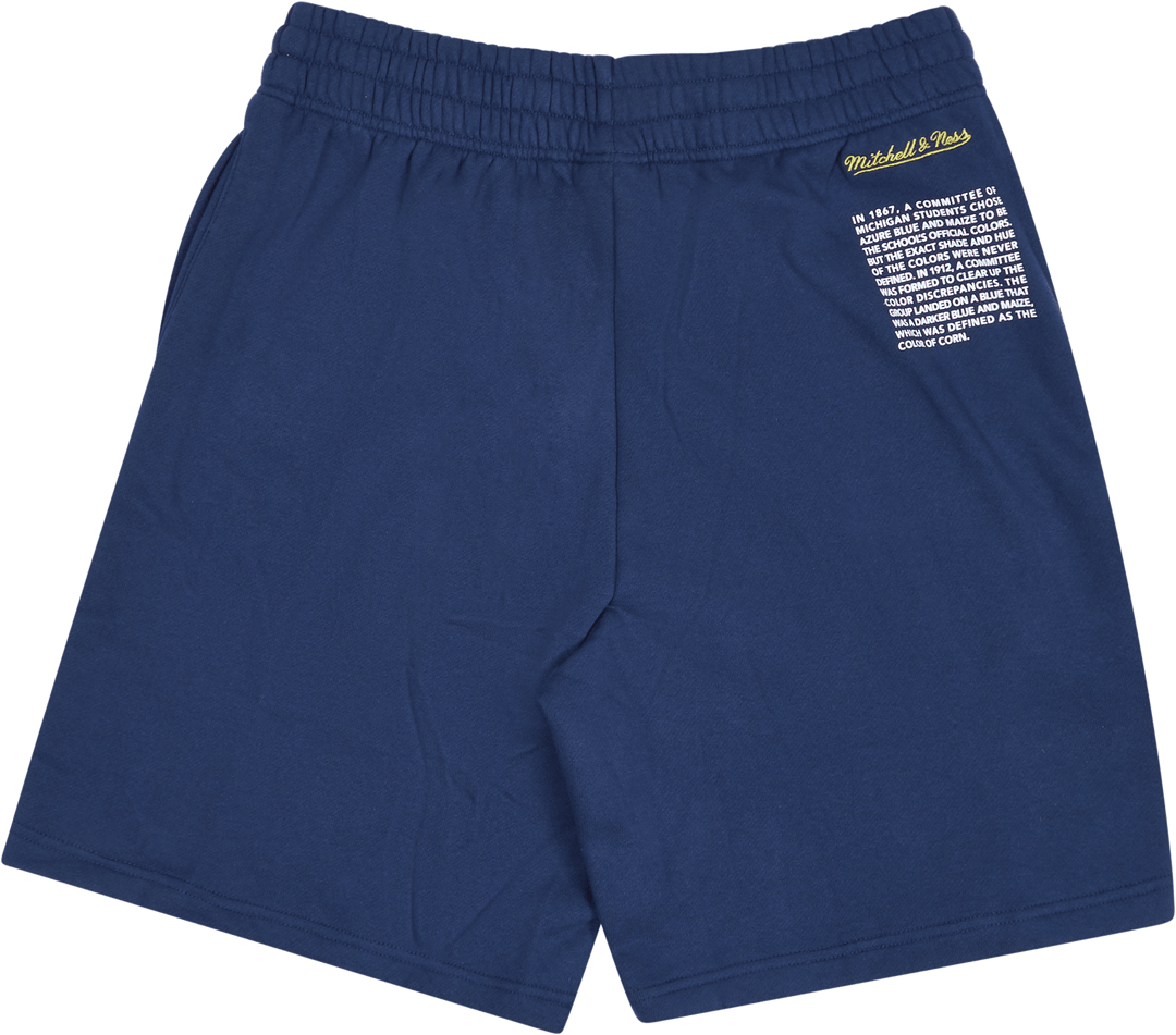 Michigan Team Origins Fleece Short
