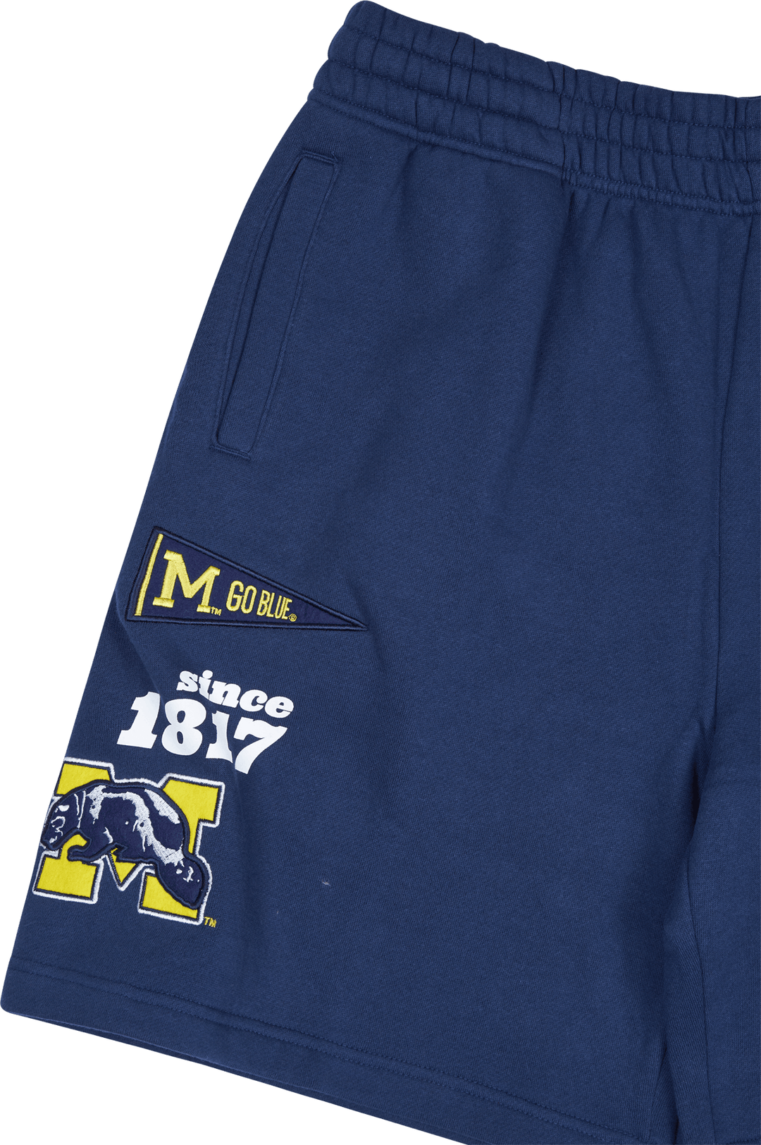 Michigan Team Origins Fleece Short