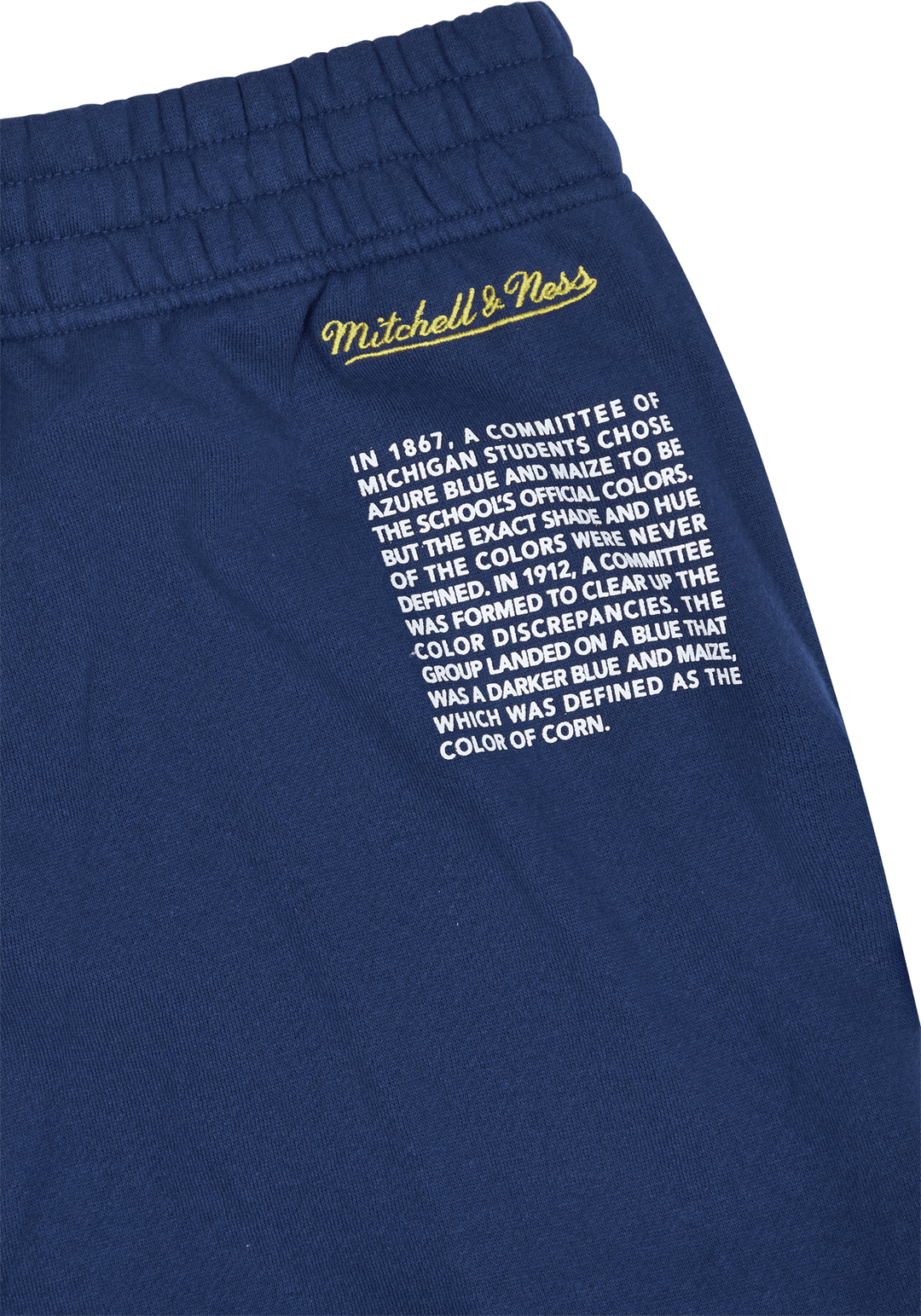 Michigan Team Origins Fleece Short