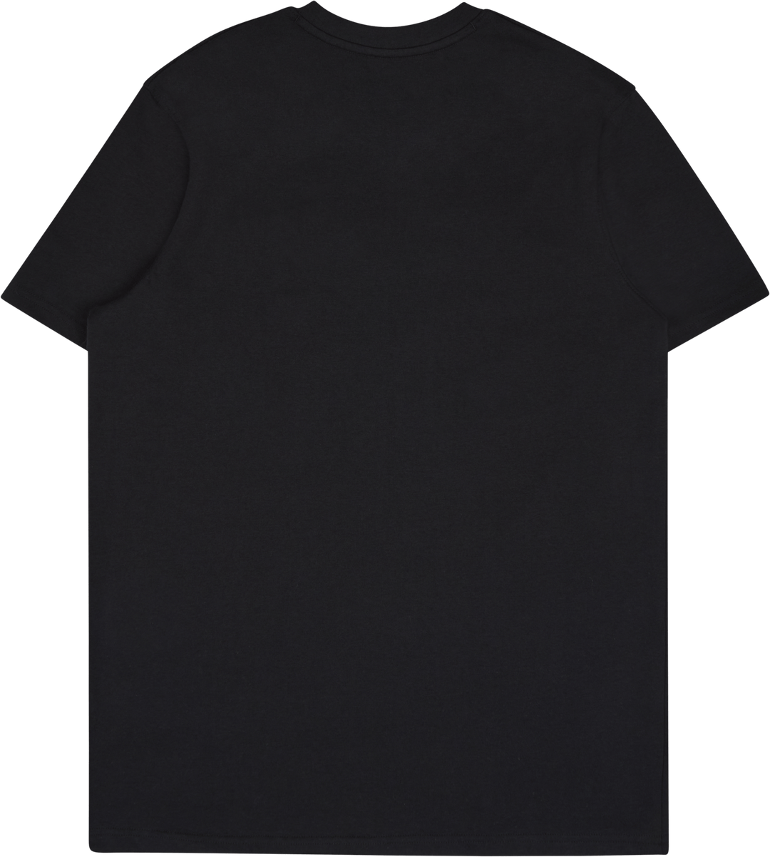 CURRY GRADIENT HVYWEIGHT SS