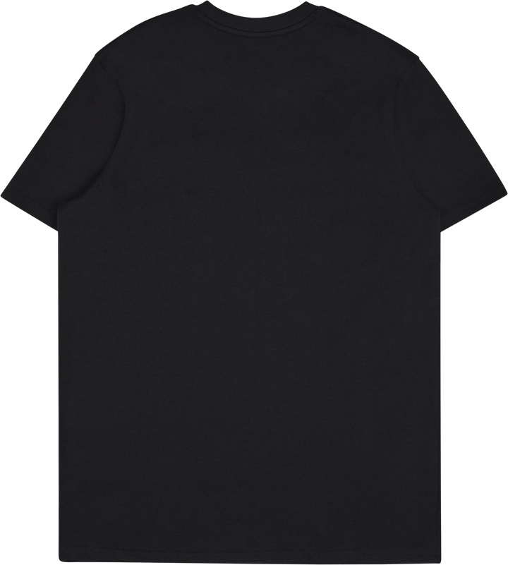 CURRY GRADIENT HVYWEIGHT SS