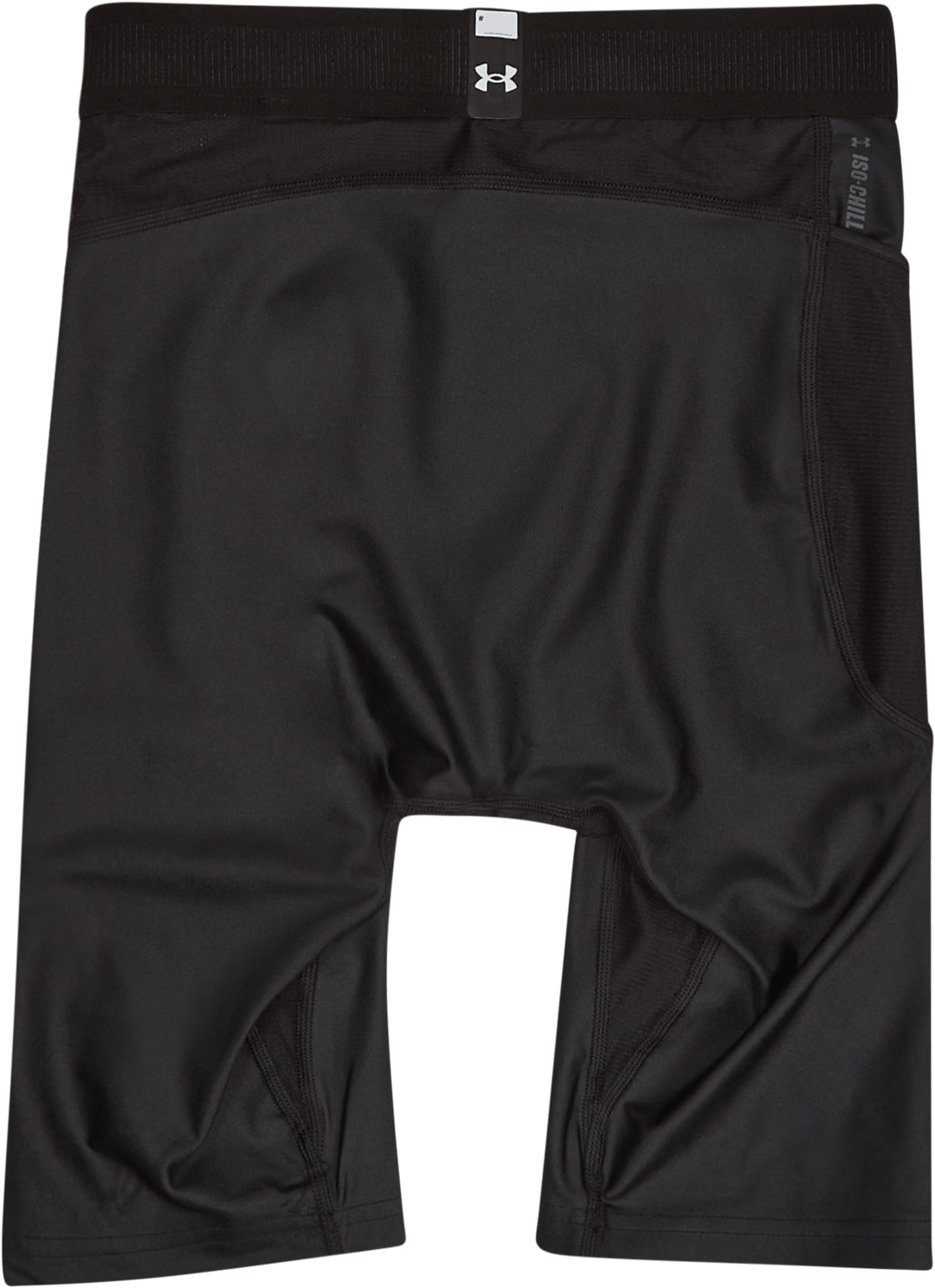 UA HG IsoChill Long Shorts