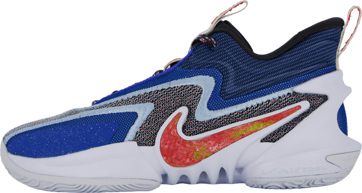 Nike Cosmic Unity 2