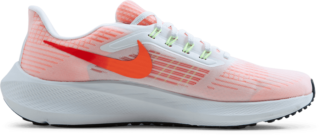 Nike Air Zoom Pegasus 39