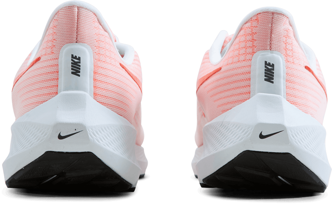 Nike Air Zoom Pegasus 39