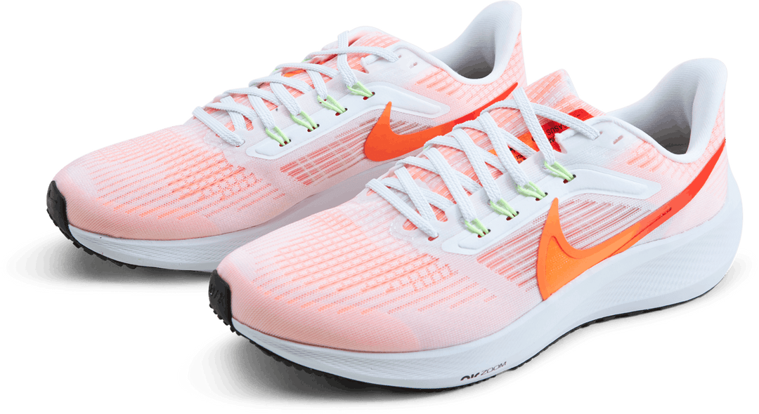 Nike Air Zoom Pegasus 39