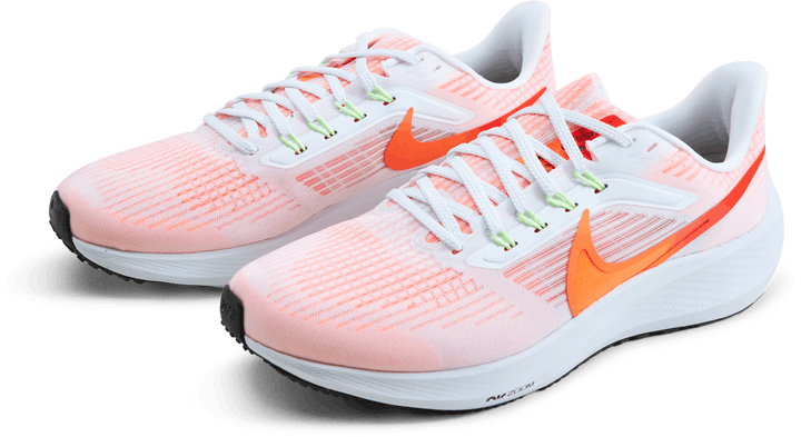 Nike Air Zoom Pegasus 39