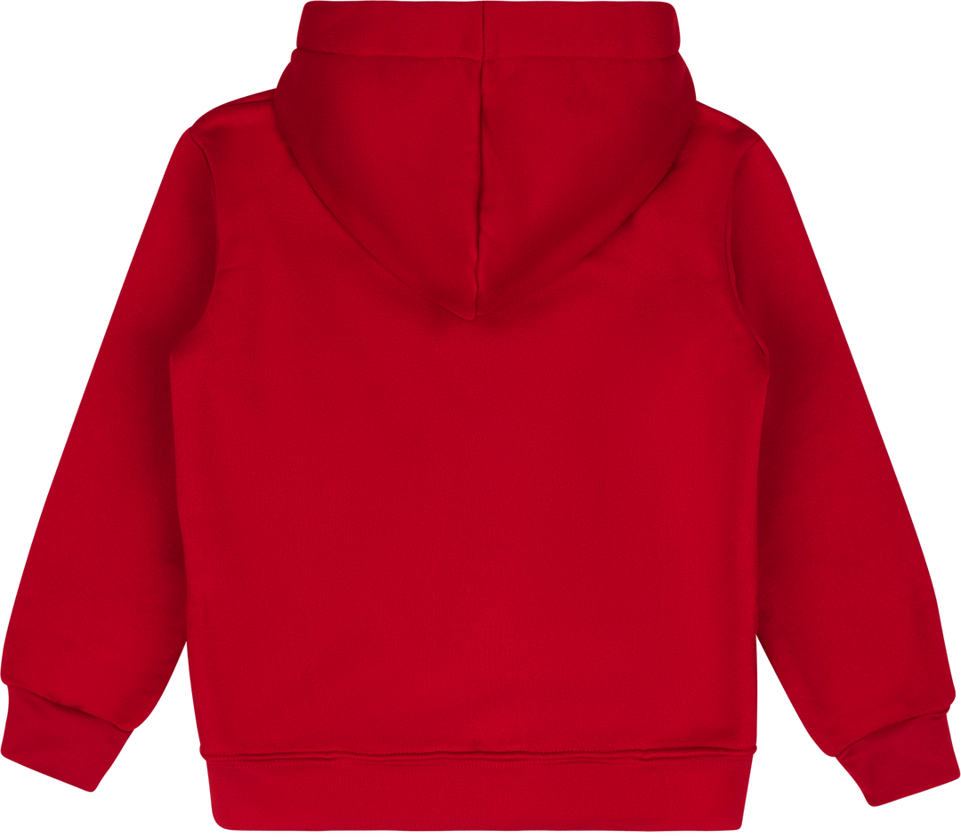 Jumpman Sustainable Po Hoodie