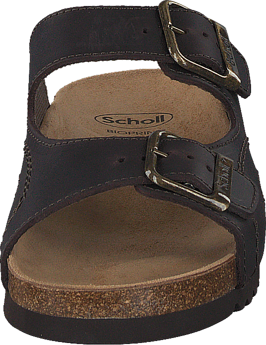 Moldava Dk Brown