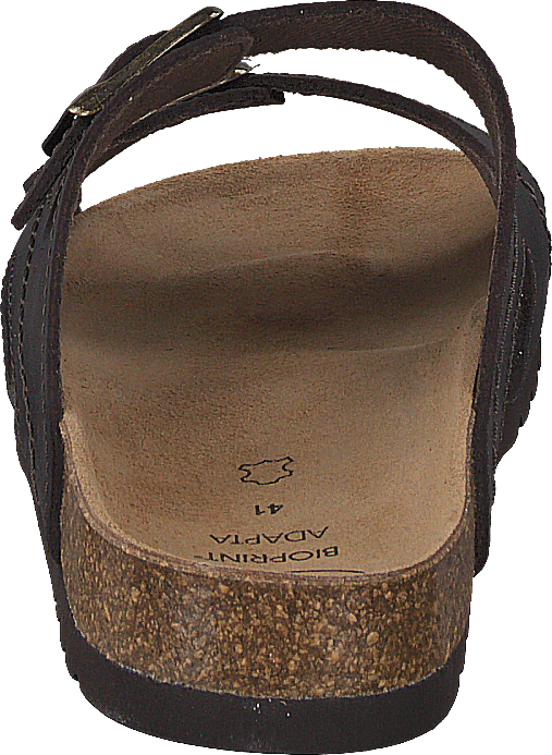Moldava Dk Brown