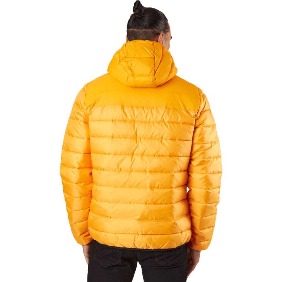 Veste à capuche Ys113
