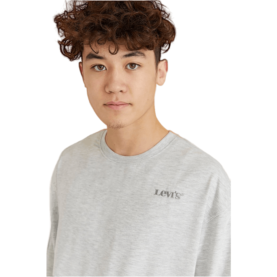 Lvb Graphic Crwneck Sweatshirt Light Grayheather