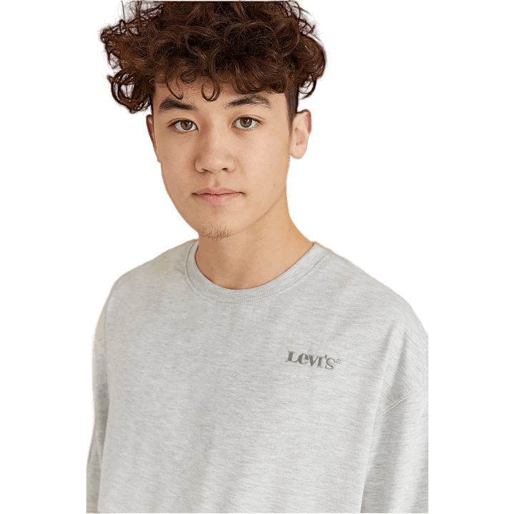 Lvb Graphic Crwneck Sweatshirt Light Grayheather