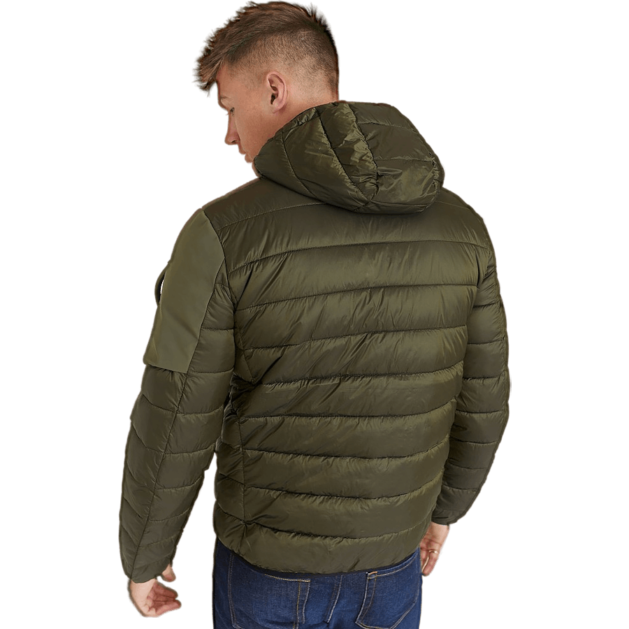 Jacket Moss